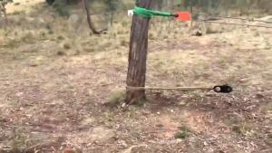 『Ymt.bhd』10 Tons Winch Pulley | Extra-Strong Breaking Force | Anti-UV & Corrosion-Resistant Coating | Steel Wheel with Bearings | Quiet Durable & Reliable 绞盘轮滑