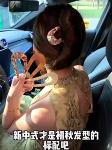 WENZHU | New Style U-Shaped Hairpin Bun Shaper