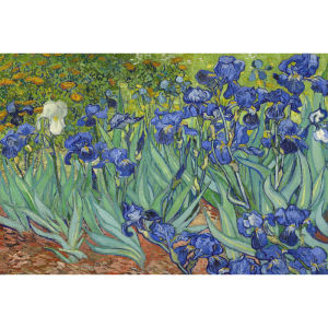 Jigsaw Puzzles for Adults 500/1000/1200/2000PCS Irises by Vincent Van Gogh Puzzles for Family Game Birthday Gift