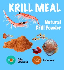 Krill Meal Aquaculture Fish Shrimp Feed Attractant and Supplement/ Serbuk Udang 水产诱食虾粉 1000gram