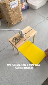 FLEA TRAPY Flea and Tick Killer Lamp Trap Cat Dog Flea Perangkap Kutu Kucing Ubat Kutu Kucing Paling Berkesan