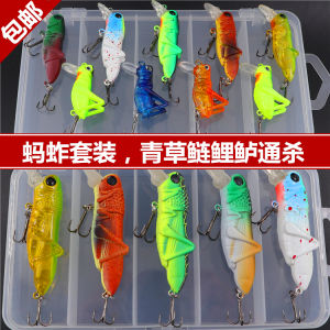 Bass Fly Fishing Lure Set Cicada Artificial Bait water Alligator Garfish Carps Catfish Insect Bionically Designed Baits