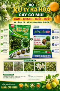 [XẢ LÁ-ATOMIN]_BỘ XỬ LÝ RA HOA CÂY CÓ MÚI CAM-CHANH-BƯỞI-QUÝT-200L NƯỚC