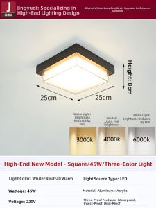 JINGYUDI | Waterproof Modern Simple Outdoor Ceiling Light