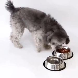 ชามอาหารสแตนเลสสำหรับสัตว์เลี้ยงชามอาหารแมวชามอาหารสุนัขทนทานและทนทาน