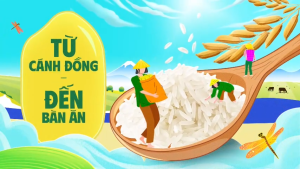 Combo 3 túi Gạo ST25 thượng hạng Aan túi 5kg - bao bì mới - Chính hãng Gạo sạch Aan