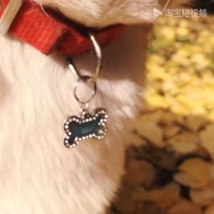 Tag tên – mặt dây cổ đính đá cho chó mèo thú cưng DIY tự thiết kế - Đen Ta pet shop