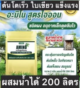 อะมิโน สูตรไอออน ชนิดผง ขนาด2กรัม และ 10 กรัม