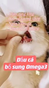 Viên dầu cá Omega-3 bổ sung dinh dưỡng cho Chó Mèo hộp 60 viên - Love pets shop