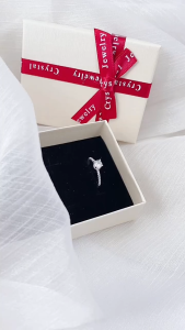 Nhẫn bạc nữ LAMY Stone Encrusted Crown Silver Ring 8160 - Nhẫn bạc ta cao cấp