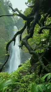 Hijab Sport Ped: Pilihan Hijab untuk Aktivitas Outdoor dan Olahraga