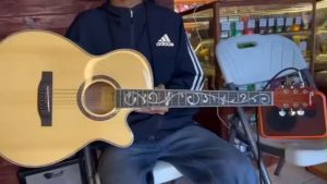 Thunder Acoustic Guitar A120 with EQ - natural with Bag