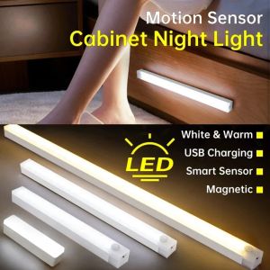Kitchen Usb Rechargeable Led Lamp LED Night Light With Motion Sensor Cupboard for Cabinets Home and Decoration Lights Wardrobe