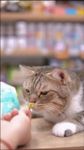 Bánh Cá Biscuits Catnip Cho Mèo Giảm Búi Lông & Hôi Miệng Túi 40g