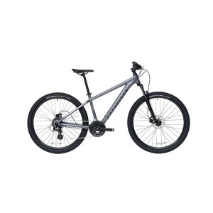 Adult Mountain Bike