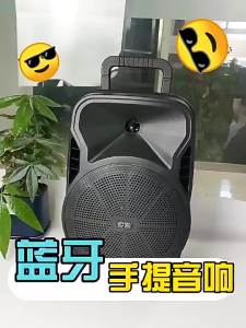 soaiy | High Power Portable Bluetooth Speaker for Outdoor Performances 8 Inches
