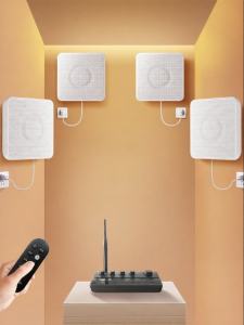Wireless Bluetooth Multi-zone Wall-mounted Commercial Speaker