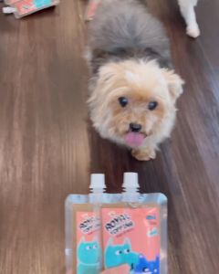 Royal Carft แพคสูดคูม ผงโรย การฝึกอาหาร Royal Topping รสทูนา, รสไก่, รสตับ รสน้ำเส้น บริการโรยเม็ดและบาร์ฟ BARF ผลิตสดใหม่ สำหรับสุนัขและแมว