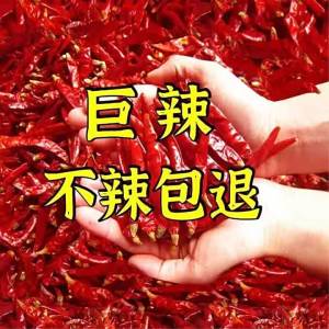 Extremely Spicy Chili Pepper Powder Flakes