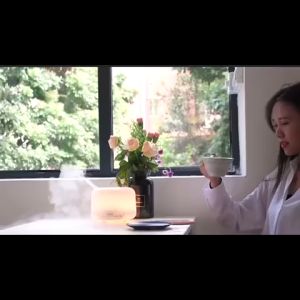 Humidifier Diffuser Aromathjerapy 500 ML - Oil Essential Aromatherapy