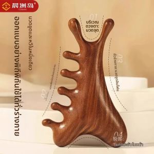 แปรงสีฟันทรงหัวกลมทำจากไม้สังข์สำหรับใช้ดูแลผม แปรงสีฟันแบบลำลองสำหรับใช้ในบ้าน สำหรับผู้ชายและผู้หญิง แปรงสีฟันแบบยาวและหนา ไม่ทำให้ร่างกายหลุดร่วง