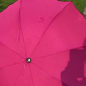D&D Home l Magic Fold Umbrella Portable UV Protection Sun & Rain Umbrella