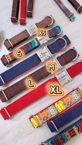 [Hỏa tốc] Dog Collar Pro Dây vải cao cấp khắc tên cho chó - Pettag Mozzi