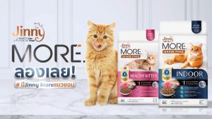 Thức ăn mèo Jinny More 400g Dinh dưỡng cho mèo không chứa ngũ cốc