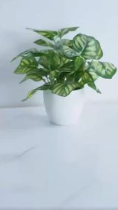 ส่งสินค้าทุกวัน จิ๊กเกอร์ สแตนเลส Jigger ถ้วยตวง2ด้าน สแตนเลส (มีให้เลือก3ขนาด) แก้วตวงน้ำเชื่อม ถ้วยตวงช็อต