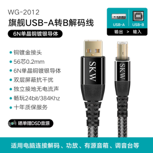 High-End SKW Single Crystal Copper Silver Plated USB Decoder DacA-B Computer Sound Card Mixer Data Cable Audio Video Accessories