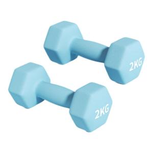 Womens Home Use Cast Iron Dumbbells