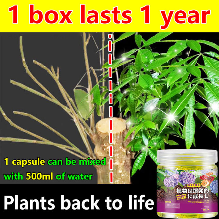 Fertilizer for plant 10 capsules to mix with 5000ml of