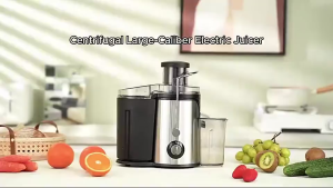 [SG Ready Stock]Cold Press Slow Juicer  Electric Power Juicer Machine 2 Speed Extractor Fruit Vegetable Juicer Blender
