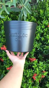 Bộ 5 cái Chậu nhựa Mềm trông cây 20x25cm