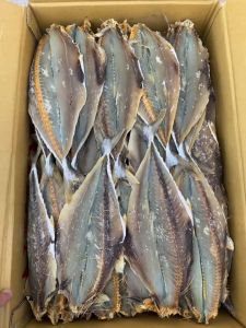 1kg Khô Cá Thu Xẻ Thịt Nhiều Vị Mặn Vừa Ăn Thơm Ngon Chiên Giòn Mắm Me Siêu Hao Cơm- ĐẶC SẢN MINH TRIẾT