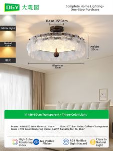 DGY | French Vintage Style Glass Flower Ceiling Light