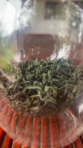 Hộp Quà Biếu Trà Xanh Tân Cương Cao Cấp Đẹp (0.5kg)