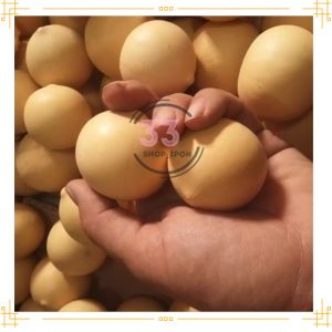 葫芦手练球文玩Gourd hand ball practice plaything葫芦文玩/葫芦球/葫芦