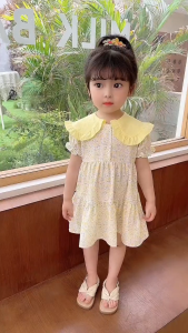 Gaun Putri Gadis Kecil: Pilihan Terbaik untuk Anak Usia 2-6 Tahun