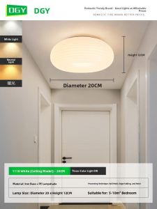 DGY | Nordic Modern Apple LED Ceiling Light 2740K Warm Light