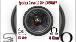 Speaker CURVE 10 Inch Curve 10inch 25H100SUWPP