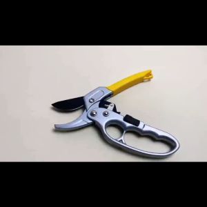 Gunting Stek Taman & Peralatan Taman Profesional