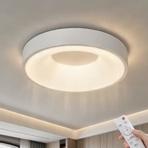 LED Modern Ceiling Light 3 Color Dimmable Remote Control Ceiling Lamp Round Lamp 24W 36W For Living Room Bedroom Kitchen