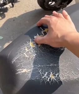 หนังซ่อมเบาะ หนังเทียมมีกาว หนังเทียม มีกาว กันน้ำหนา มีความหนืดสูง ไม่ขึ้นรา เนื้อหนังแข็งแรง แพทช์กาวซ่อมหนัง ซ่อมโซฟา แพทช์หนังซ่อม แผ่นหนังปะโซฟา ซ่อมโซฟาหนัง เทปหนัง หนังซ่อมโซฟา รัดและกาว