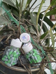 Kapsul Herbal ASAM URAT/OTOT KEJEPIT NON LABEL