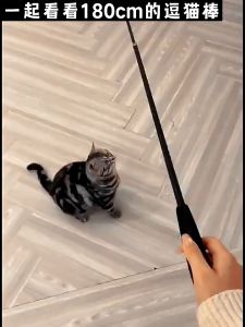Retractable Cat Teaser Wands / Cat Toy / Cat Rod / Cat Scartch Board / Cat Ball Toy / Sisal Ball