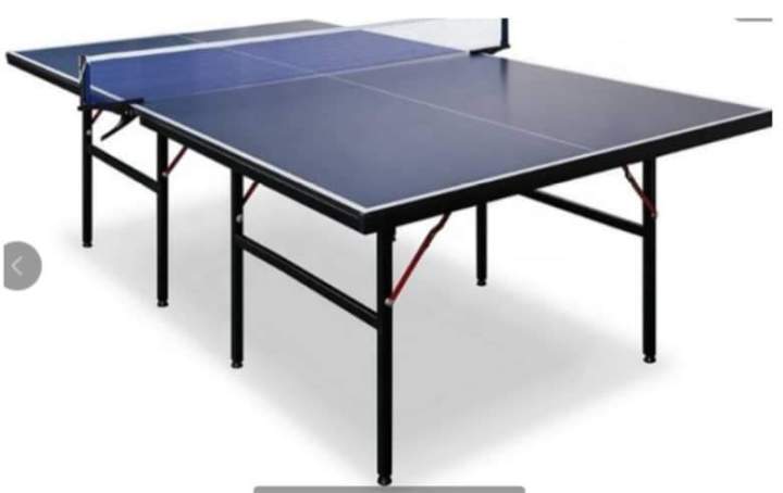 Table tennis deals table with wheels