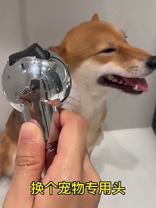 Pet Shower Sprayers ABS Chrome Adjustable Fine Water Outlet Soft Spray Protective Switch Soft Silent