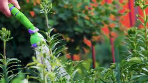 Grundfos SCALA1 3-35 Home Water Pressure Booster Pump