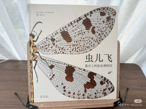 虫儿飞：指尖上的昆虫博物馆(奇想国童书）